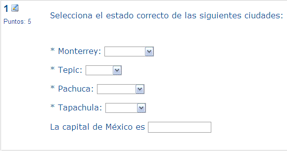 Así se vería la pregunta una vez publicada en el cuestionario