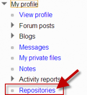 la quinta imagen.png