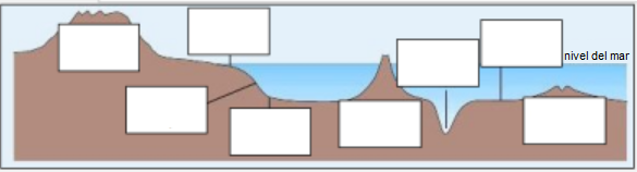 Imagen (sin nombres) para arrastrarle y soltarle.png