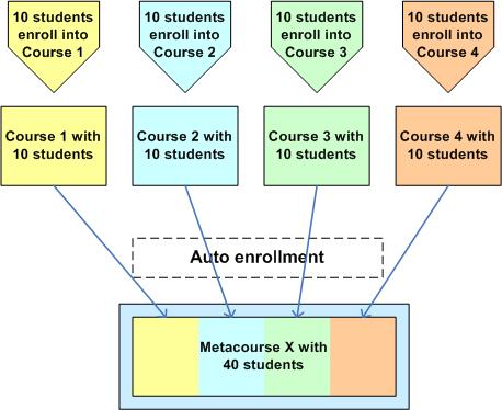 Uso estándar de el Metacurso
