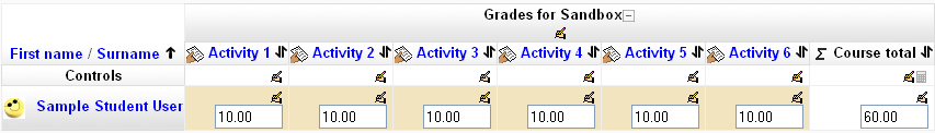 View of grader report after category has been named and sum of points selected for aggregation method