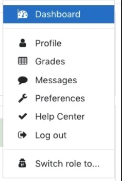 Elemento personalizado del menú añadido al menúdelusuario