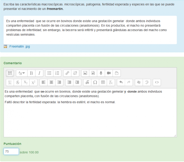 ES Essay(auto-grade) question type new screen 10b.png