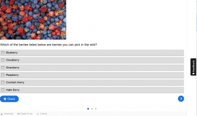 H5P example question set..png