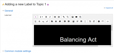 Phet simulation with the embedded simulation inside the label.png