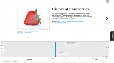 H5P example timeline..png