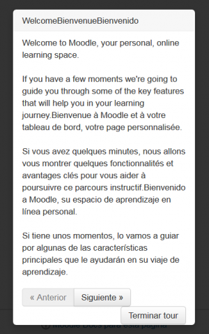 Consecuencia del filtro multi-idioma no habilitado