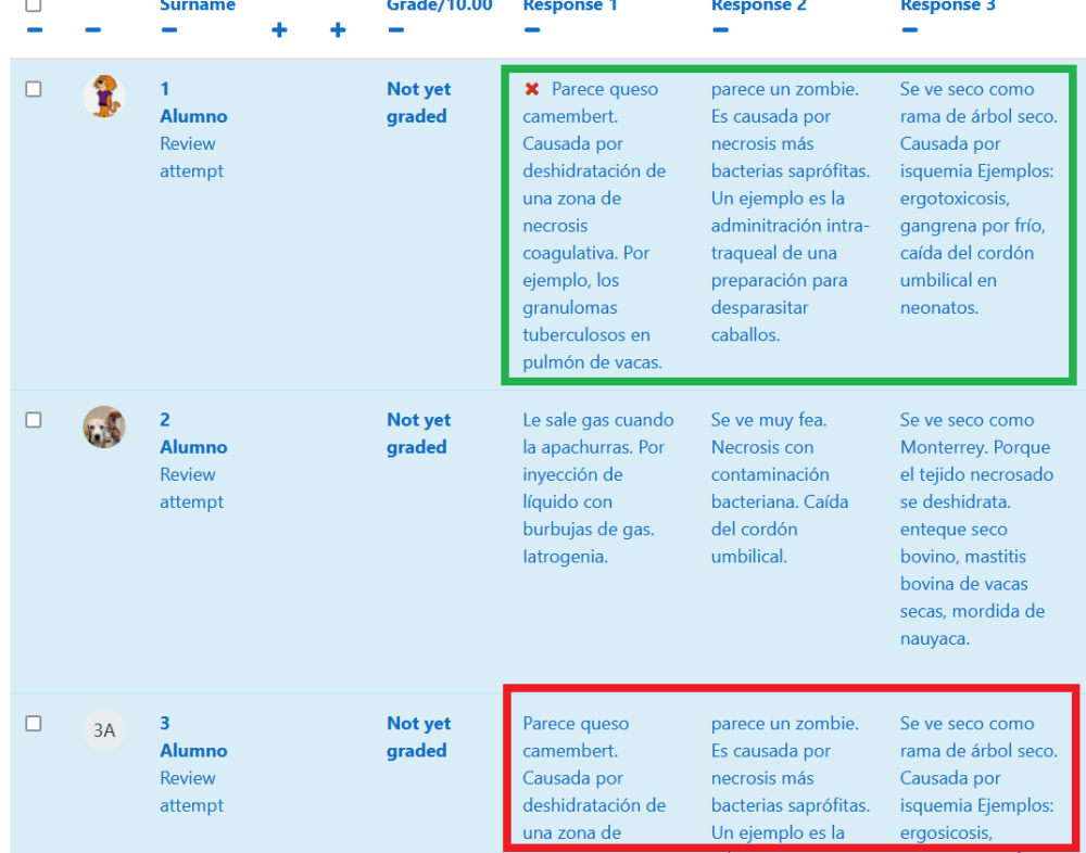 Manual grading questioncheating Moodle 4.png