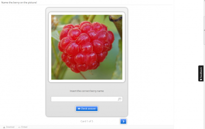 H5P example flashcards.png