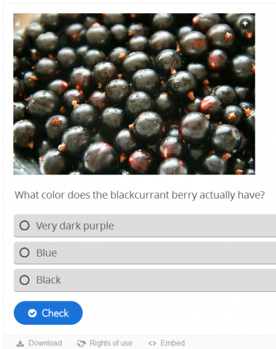H5P example multiple choice.png