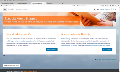 ES Mount Orange screen.png