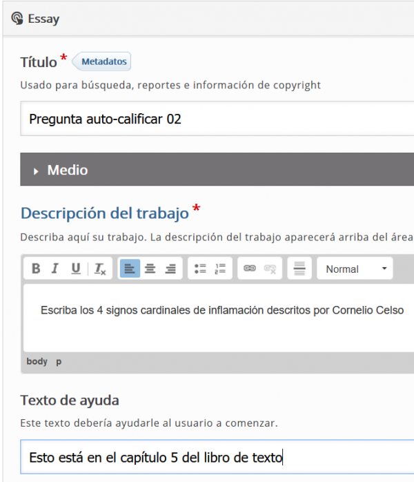 ES H5P Essay 02.png