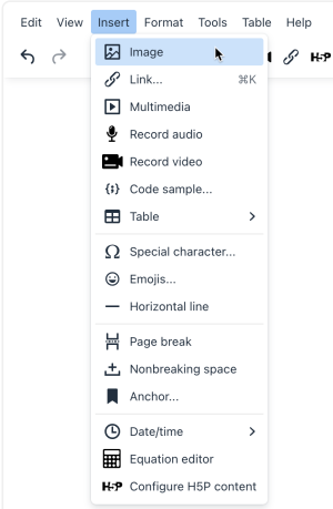 Tiny - Insert menu.png
