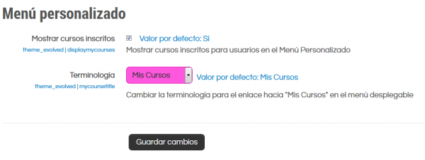 ES Evolved theme custom menu.png