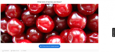 H5P example guess the answer.png