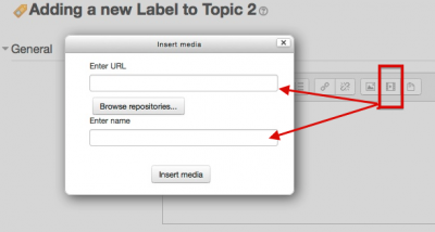 "Screenshot of Insert media box in Atto"