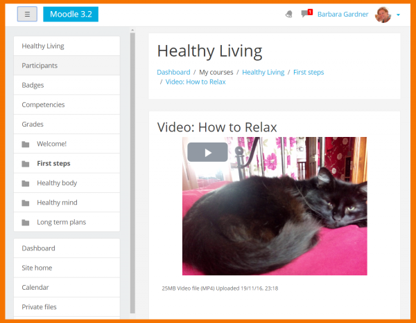 Docs MediaPlayer.png