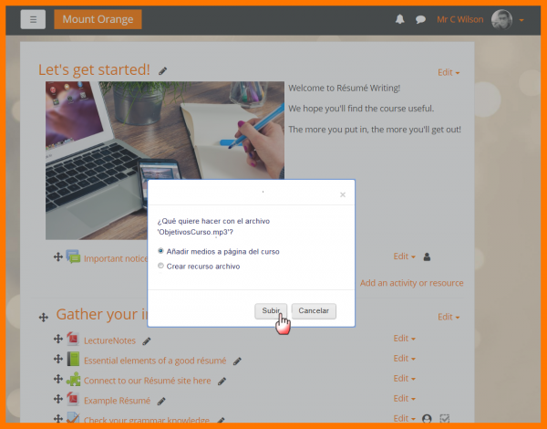 ES 33DragDropMedia.png