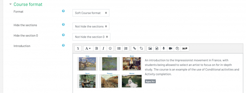 1-moodle-softcourse-custom-description.png