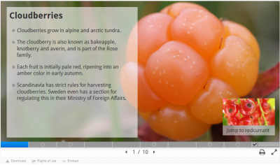 H5P example course presentation.png