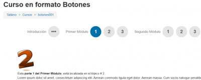 ES Buttons course format 9 buttons section 2.png