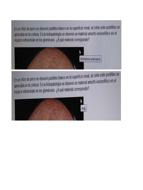 Questions with revealing and non-descript titles.png