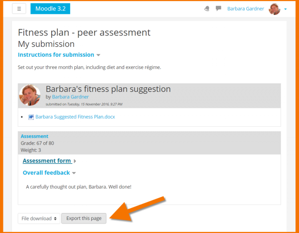 Docs ExportPortfolio.png