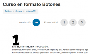 ES Buttons course format 9 buttons section 1.png