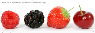 H5P example find the hotspot.png